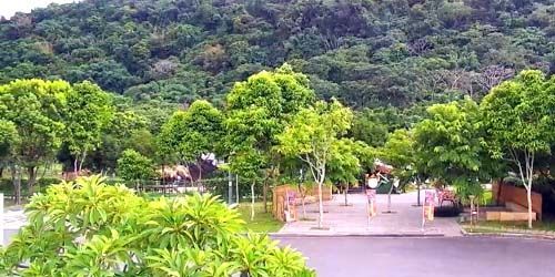Alishan - Staatliches Waldreservat Webcam