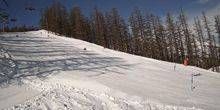 Piste de ski alpin Webcam