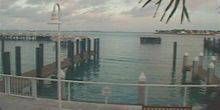 Molo di pesca Webcam - Key West