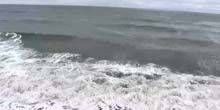 Océan panoramique de Salisbury Beach Webcam