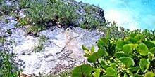 Bermudes - île de Nonsuch Webcam - Saint George