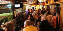 Lounge bar maiali respiro salone Webcam - Key West