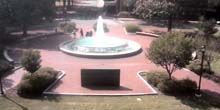 Fontana nel centro della città Webcam