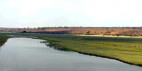 Camping Chobe sur la rivière Gwando Webcam - Katima-Mulilo