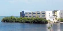 College of Florida Keys Gemeinschaft Webcam