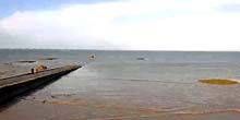 La costa dell'isola di Noarmouth Webcam