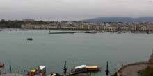 Bacino del traghetto nella baia di Ginevra Webcam