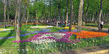 Uno splendido paesaggio in Dendropark Webcam - Kirovograd