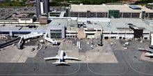 L'aéroport Webcam - Halifax