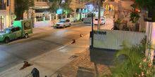 Gästehaus in der Duval Street Webcam - Key West