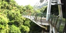 Glasbrücke Skywalk Webcam