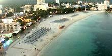 Hotels in einer wunderschönen Bucht Webcam - Palme