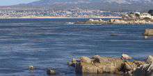 Küste von Monterey Bay Webcam - Monterey