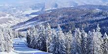 Skigebiet auf dem Berg Magura Webcam - Mizhhirya