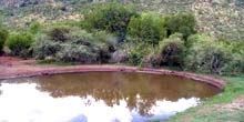Parco nazionale di Pilanesberg Webcam