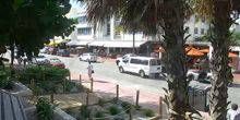 Strada trafficata di Ocean Drive Webcam - Miami