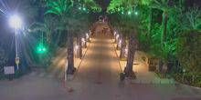 Palm alley dans le parc Webcam - Izmir