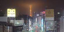 Panoramablick auf den TOKYO-Turm Webcam