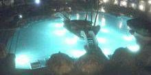 Pool im Grand Palladium Punta Cana Resort Webcam - Santo Domingo