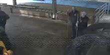 Shelter für Esel Webcam - Sidmouth