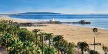 Bellissima spiaggia con palme Webcam - San Diego