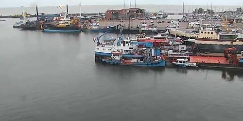 Porto marittimo Webcam - Urk