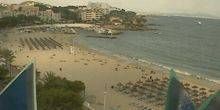 Strand in einem der Hotels Webcam - Palme