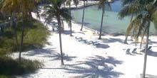 Plage avec piscine au Tranquility Bay Resort Webcam - Key West