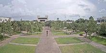 Université du Texas Sud Webcam - Houston